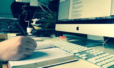 career options freelance content writer